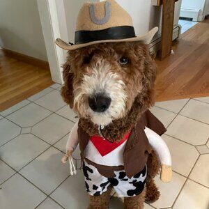 Dog Cowboy Halloween Costume